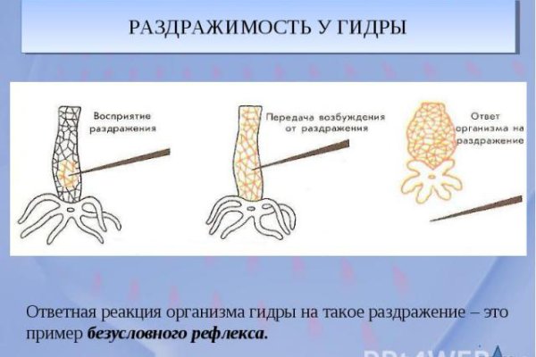 Как регистрироваться и заходить на кракен даркнет
