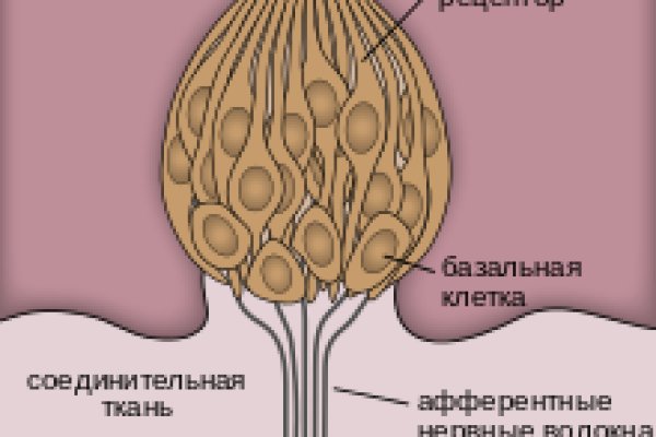 Как написать администрации даркнета кракен