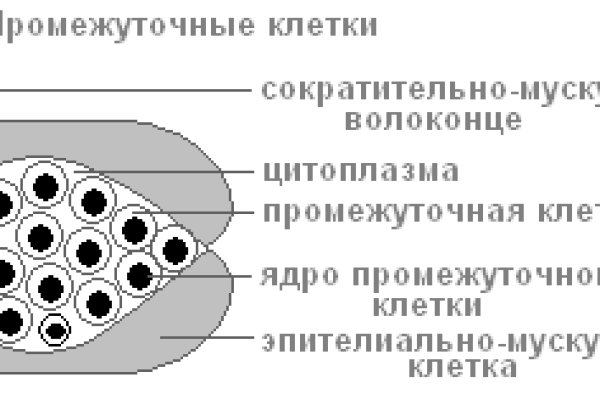 Кракен наркоплейс